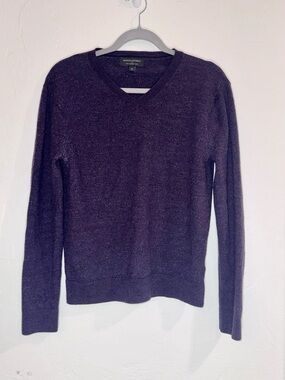 Banana Republic 100% Merino Wool V-Neck Men’s Sweater - Plum